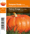 Potiron orange (tray 12 pot)